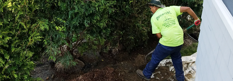 Planting-and-Removal-main