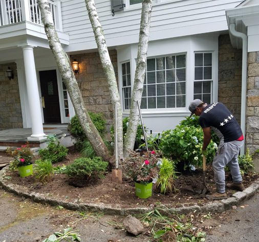 Planting-and-Removal_1