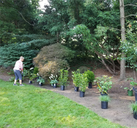Spring-and-Fall-Cleanup-2