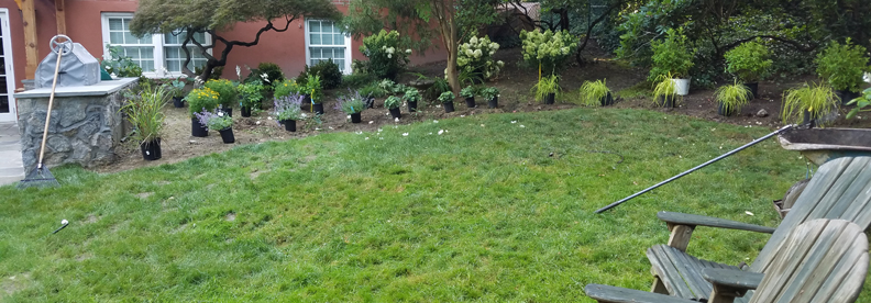 Spring-and-Fall-Cleanup-Main